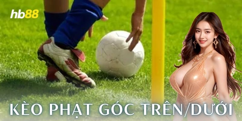 Bóc trần kèo phạt góc trên/dưới cho dân chơi kèo